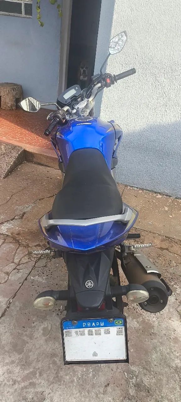 Fazer 250 blufex