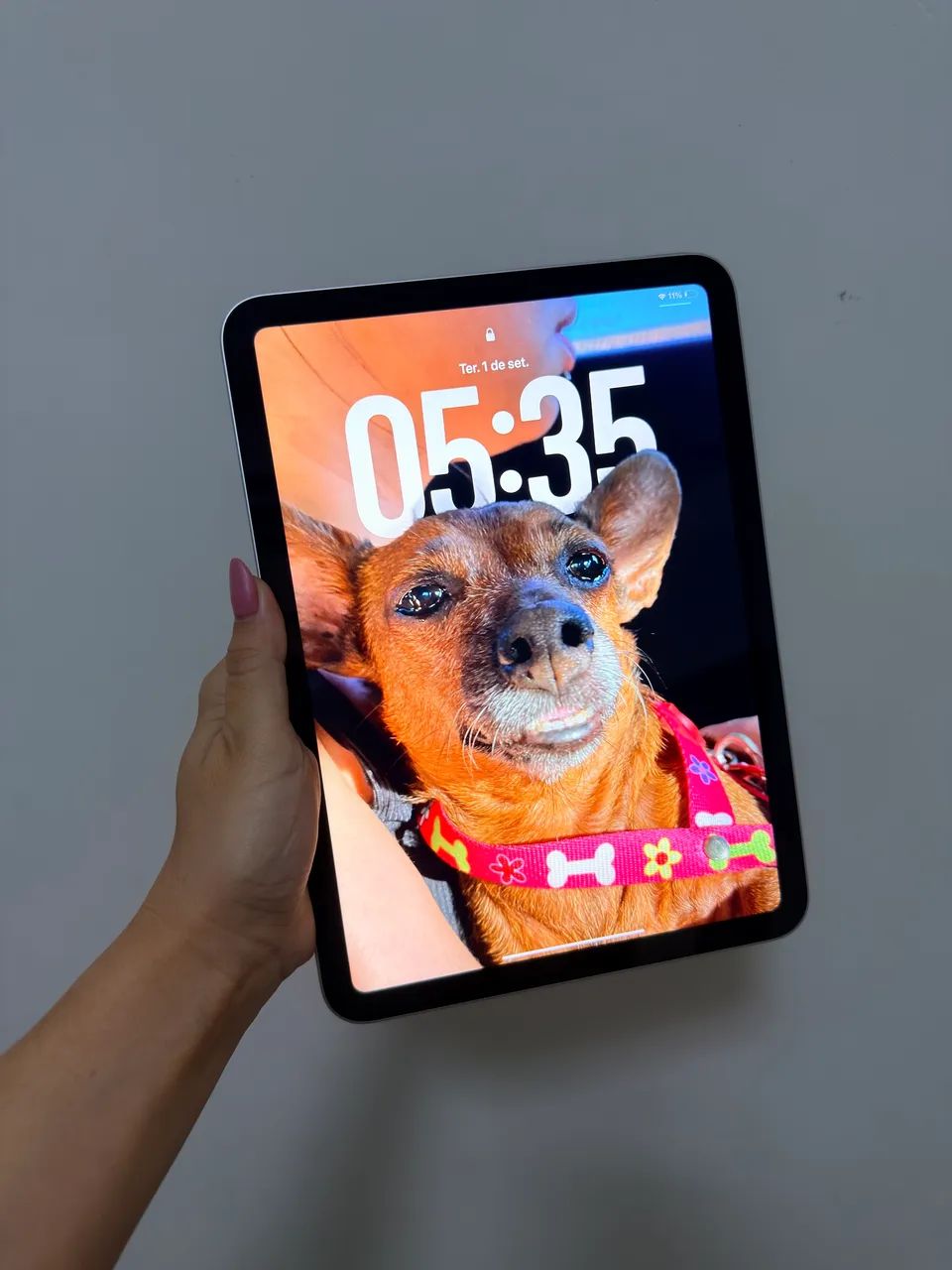 iPad 11