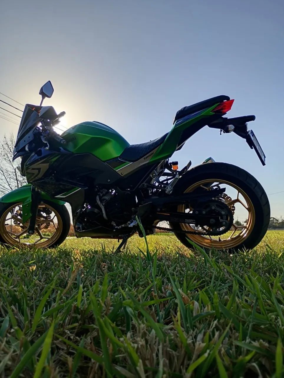 Z 300 2018 - 1518363881 | OLX