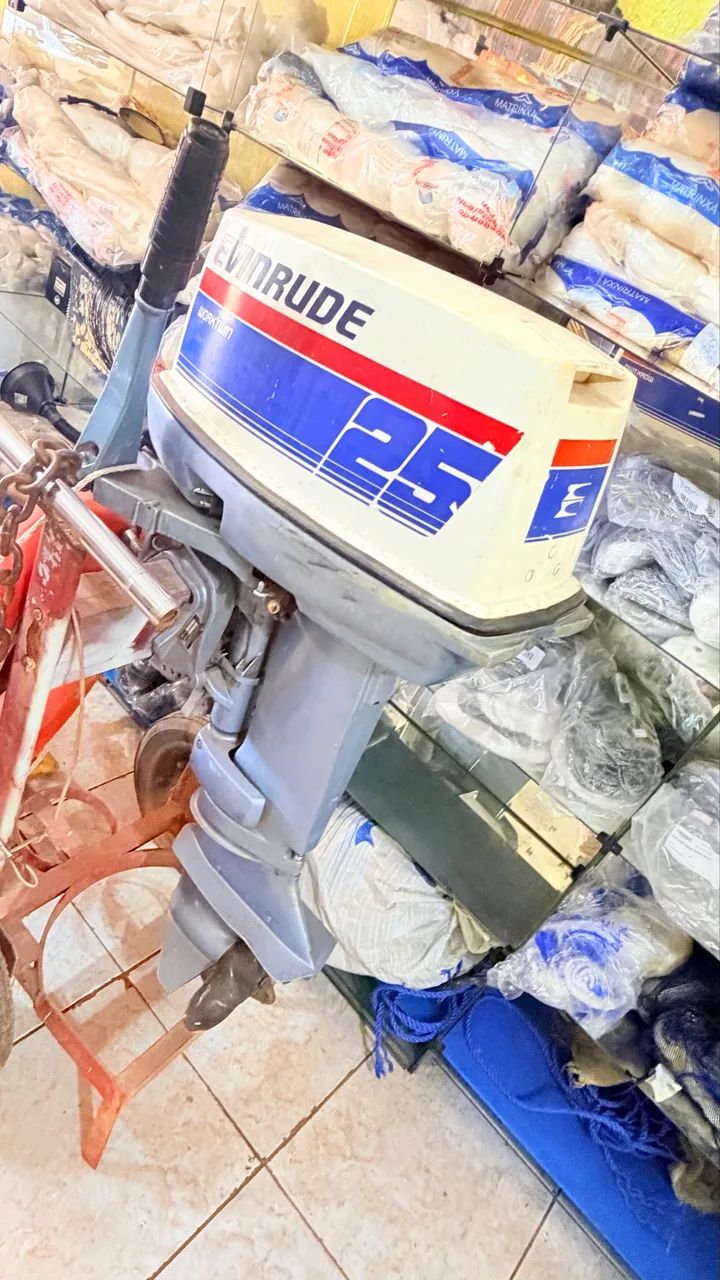 MOTOR EVINRUDE 25 WORKTWIN - Foto 4
