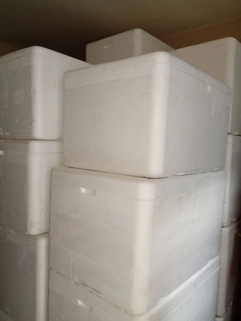 Caixas de isopor 120 litros 