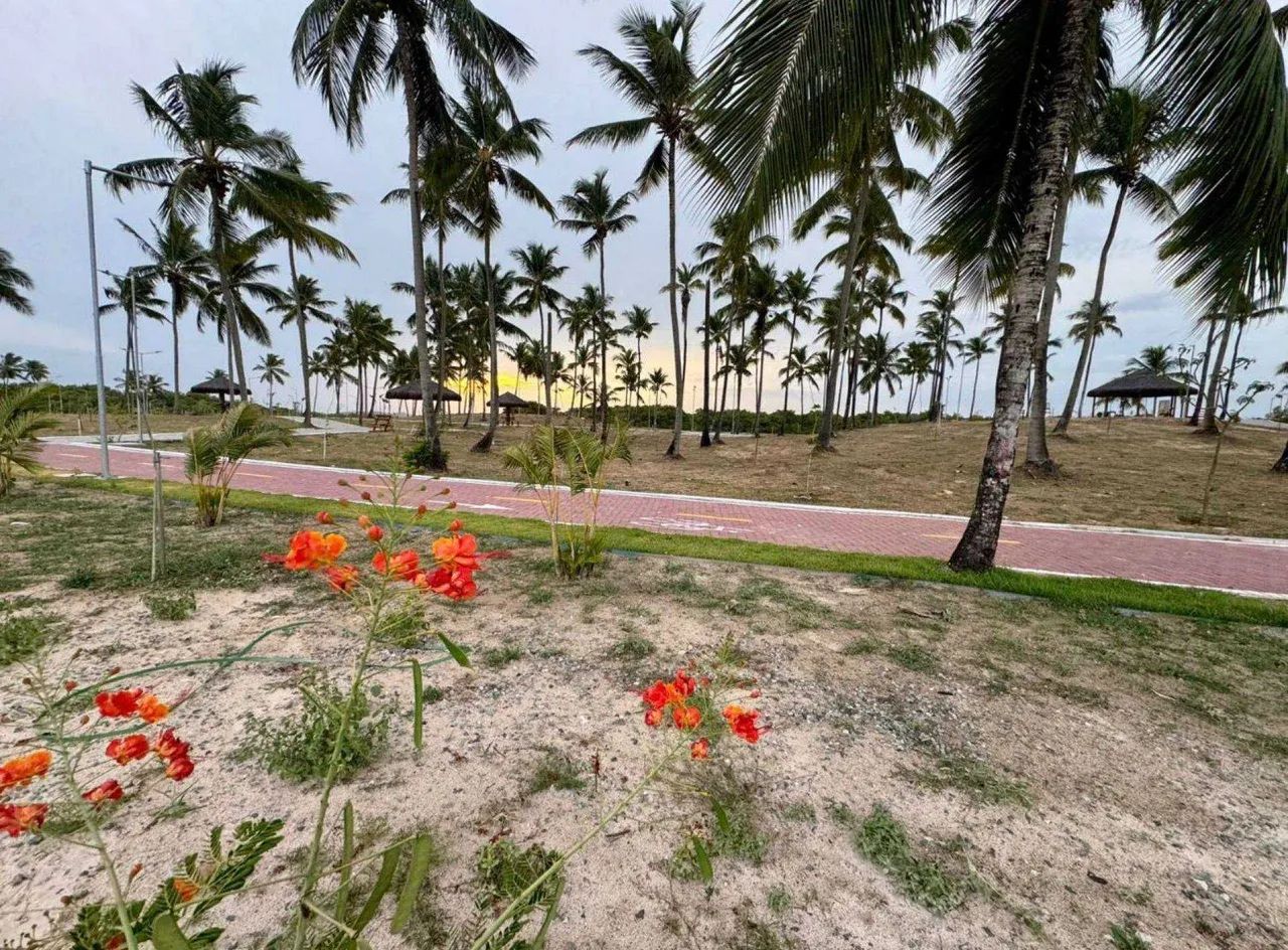 Lote no villaredo aruana disponível pra venda [19686] - Foto 4