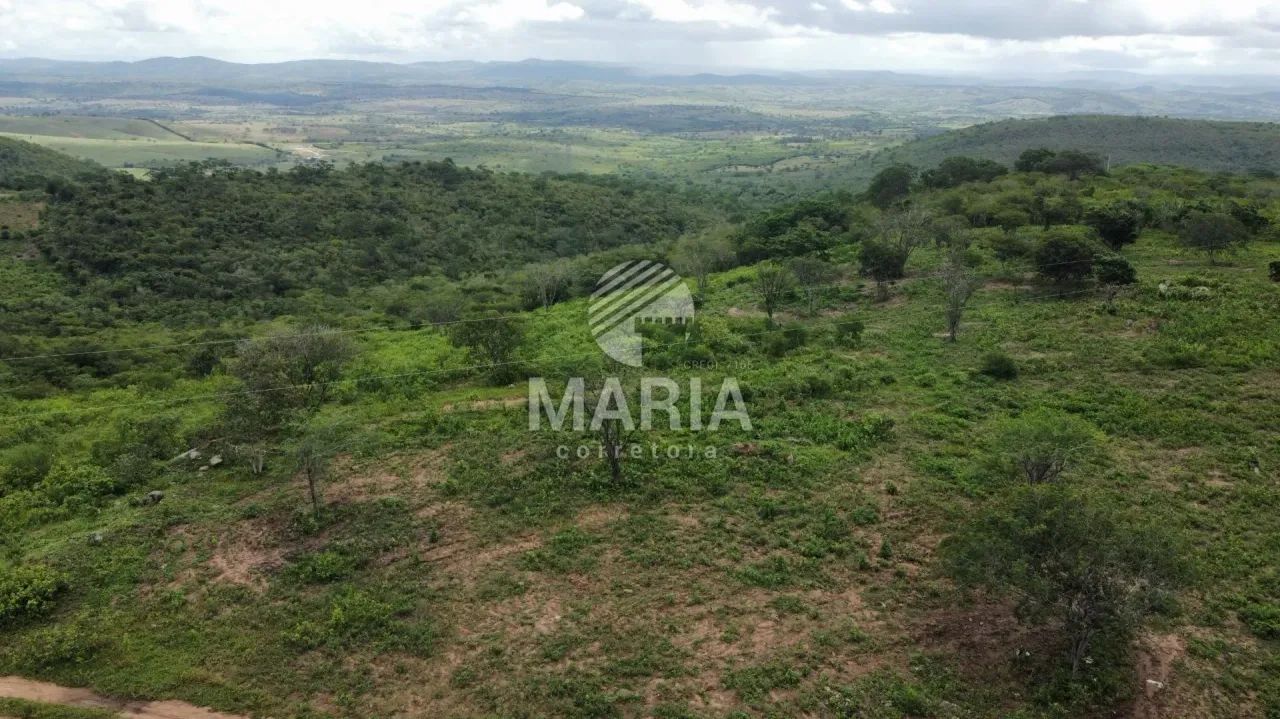Área a venda com 14 Hectares em Gravatá/PE! - Foto 2