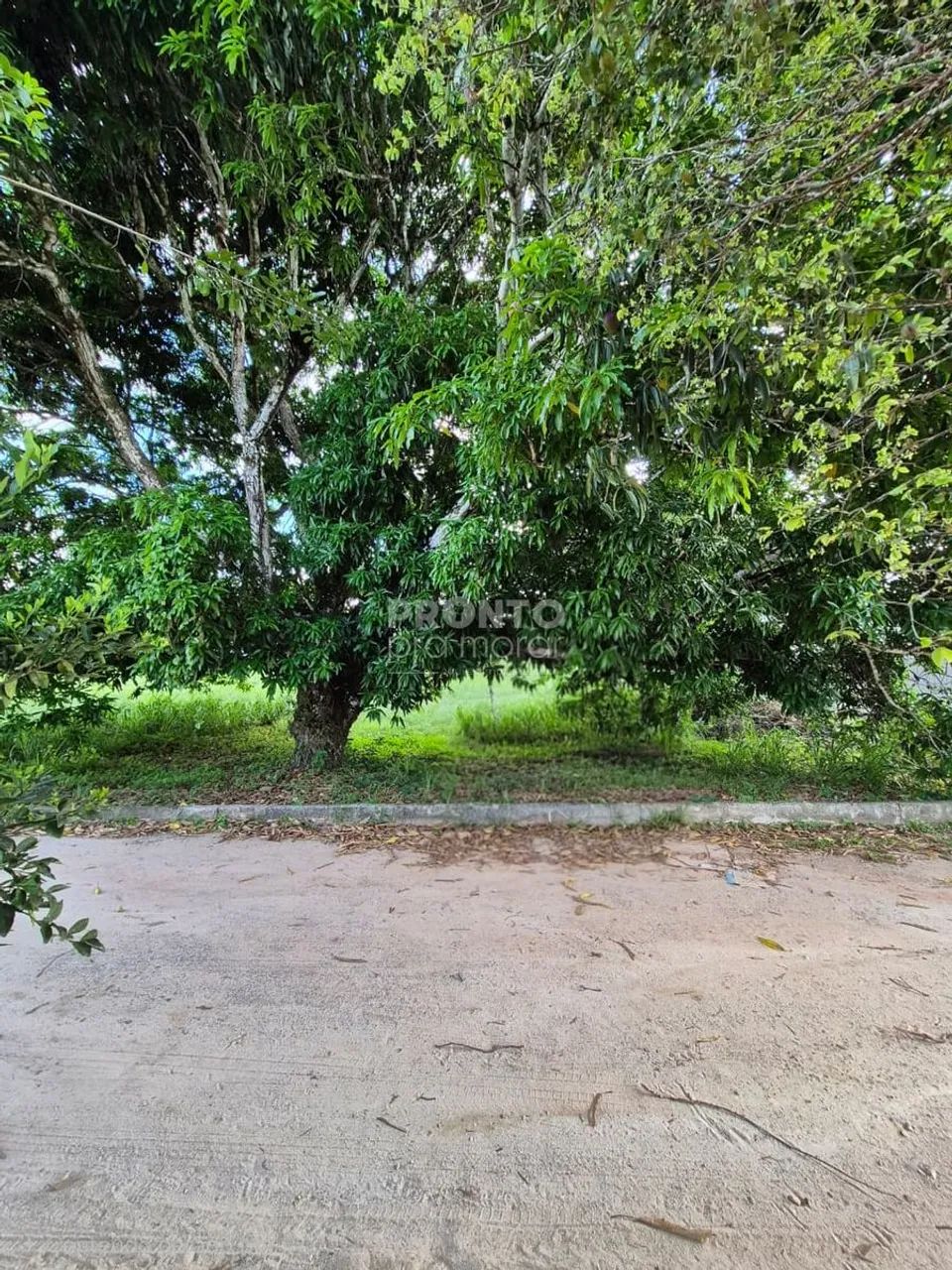 Lote/Terreno/Condomínio em Aldeia dos Camarás - Foto 3