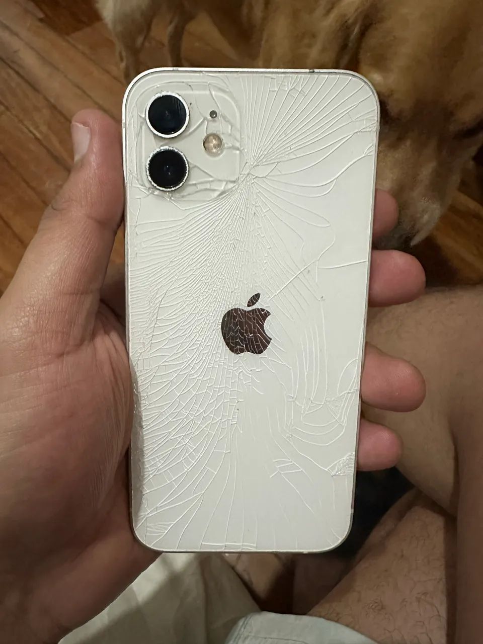 iPhone 12 - Foto 3