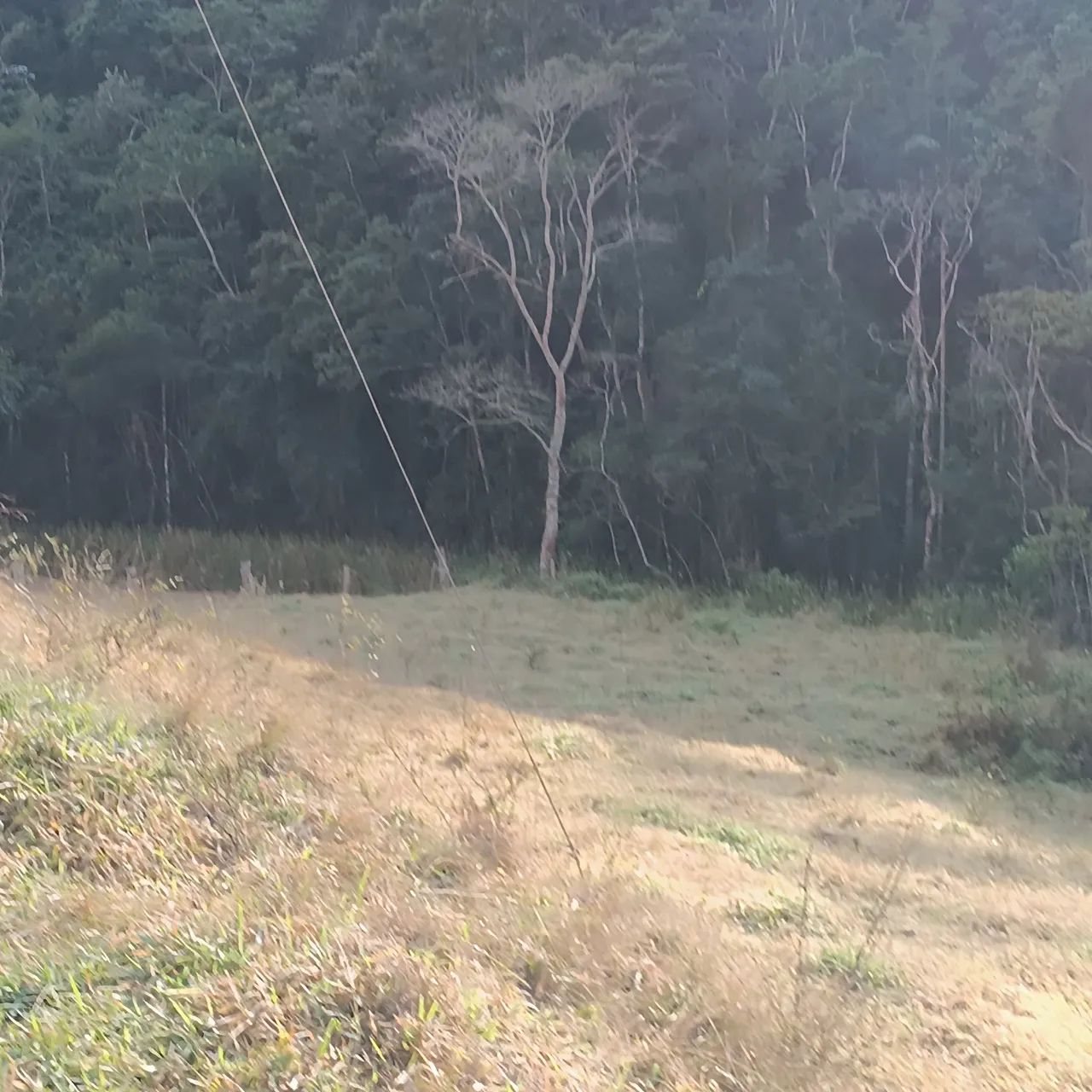 VENDO SITIO 3 ALQUEIRES EM NATIVIDADE DA SERRA ( 4291 ) - Foto 9