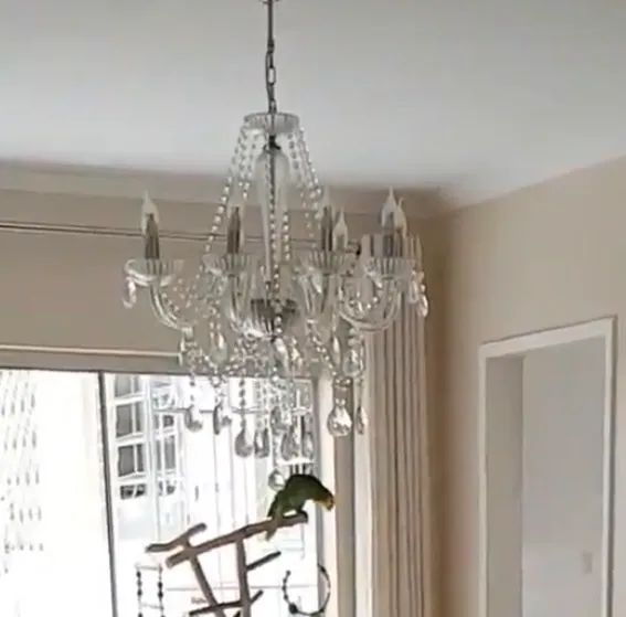 Lustre de vidro com 8 braços 