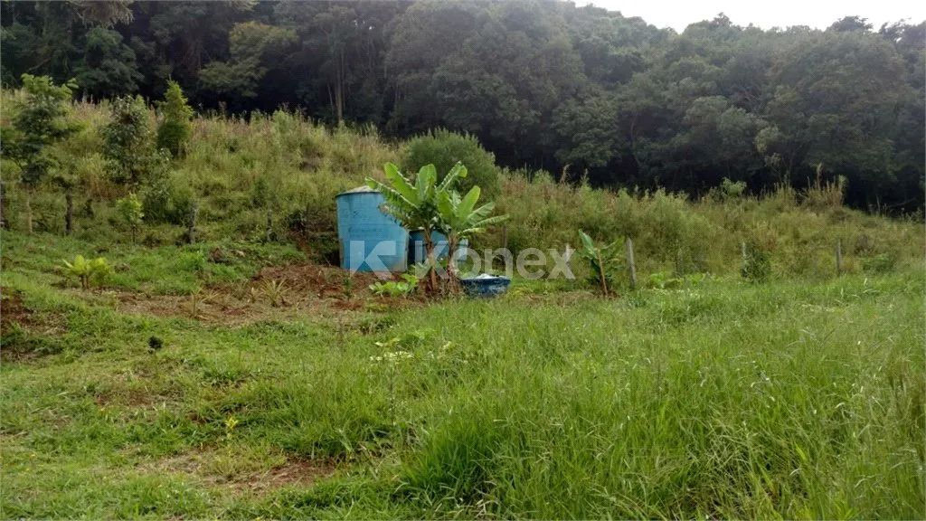 Chácara à venda com 6 quartos em Centro, Munhoz - Foto 4