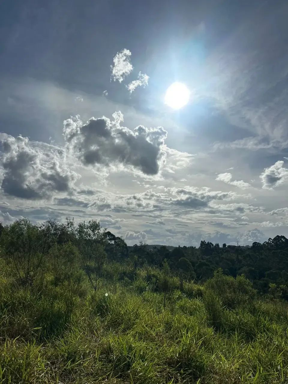 Lotes com Nascente Natural | Um Diferencial Raro - Foto 2