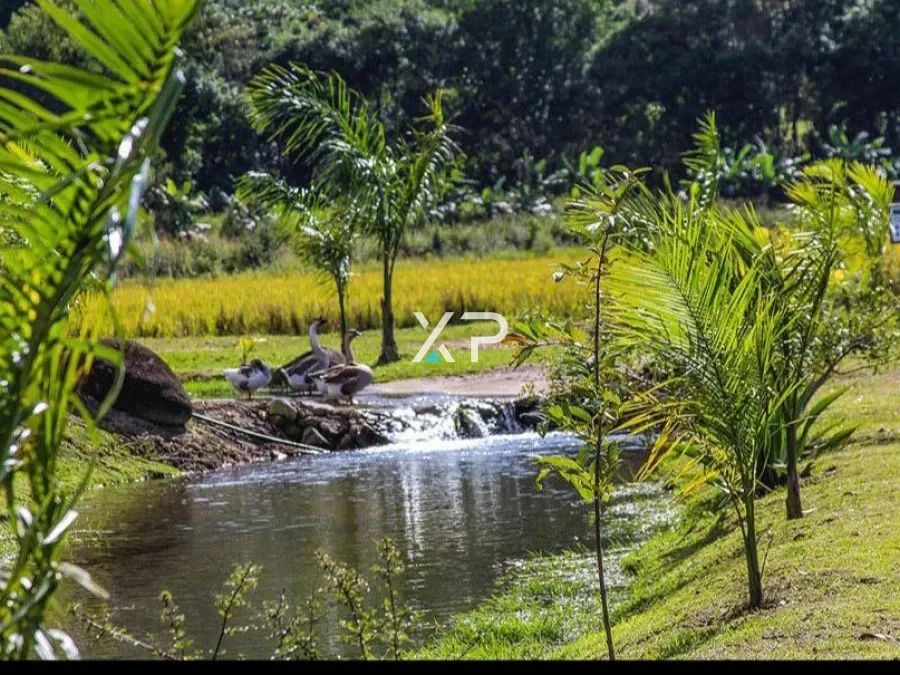 Casa 3 Quartos com 1 Suíte e 146m² - Área Rural de Tijucas - Foto 2