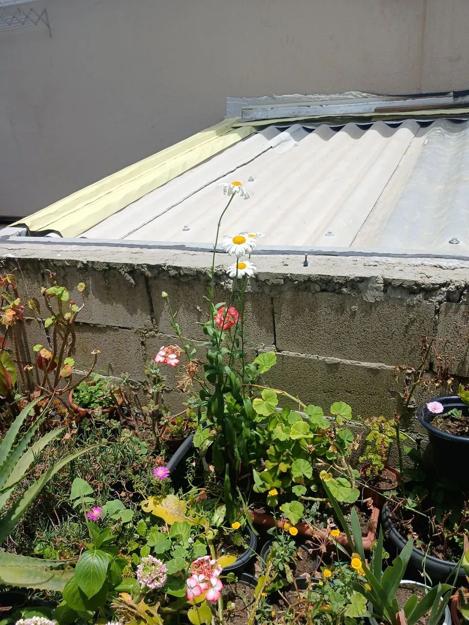 Trabalho domiciliar  - Foto 4