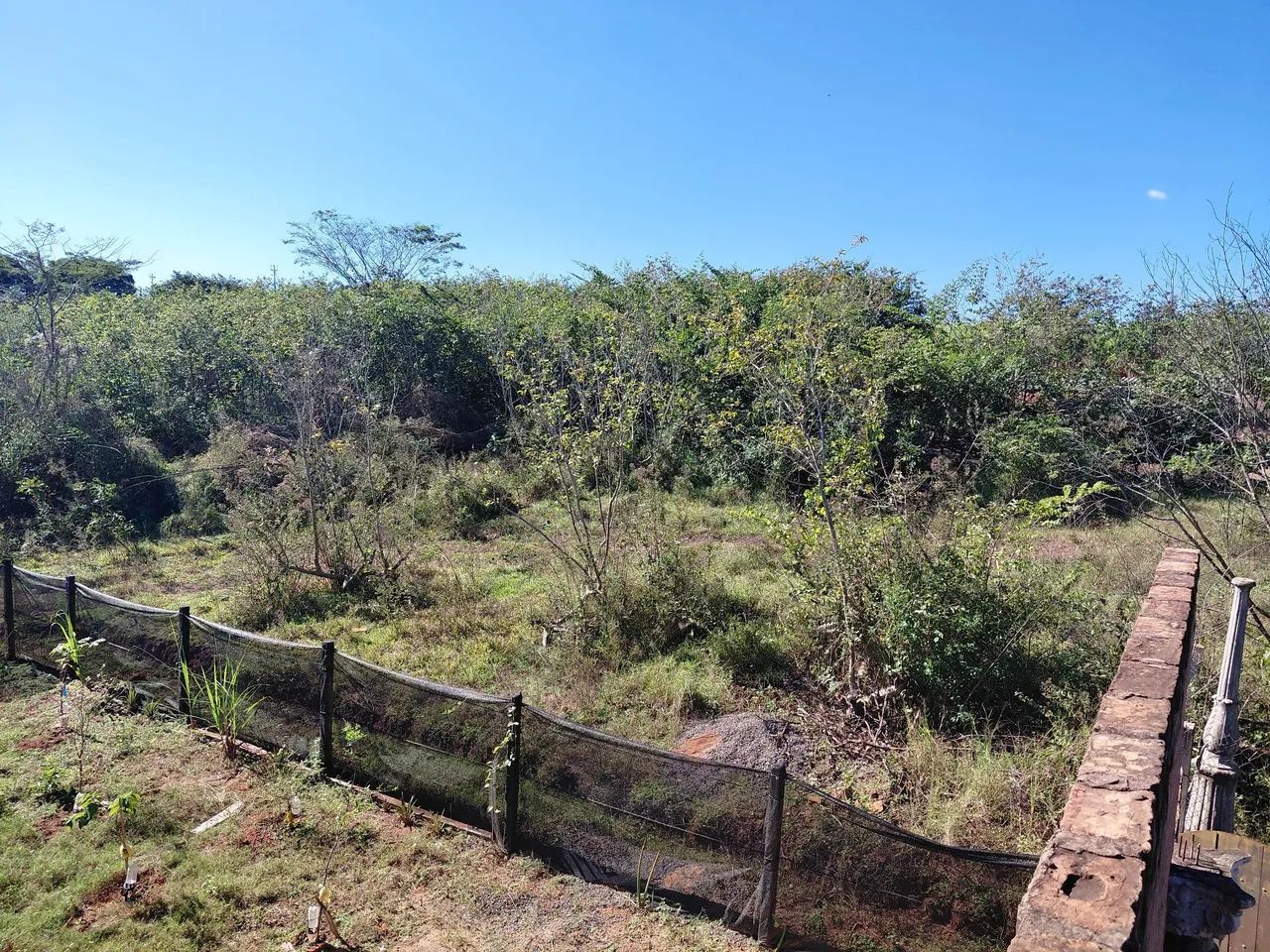 Sitio em pirangi sp - Foto 3