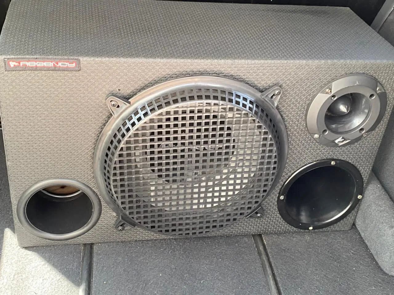 Som Automotivo Pioner 350W RMS 12 Polegadas Subwoofer