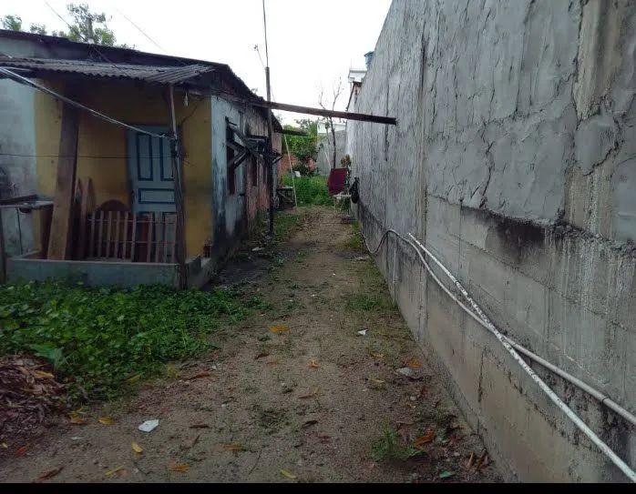 Não  - Foto 2