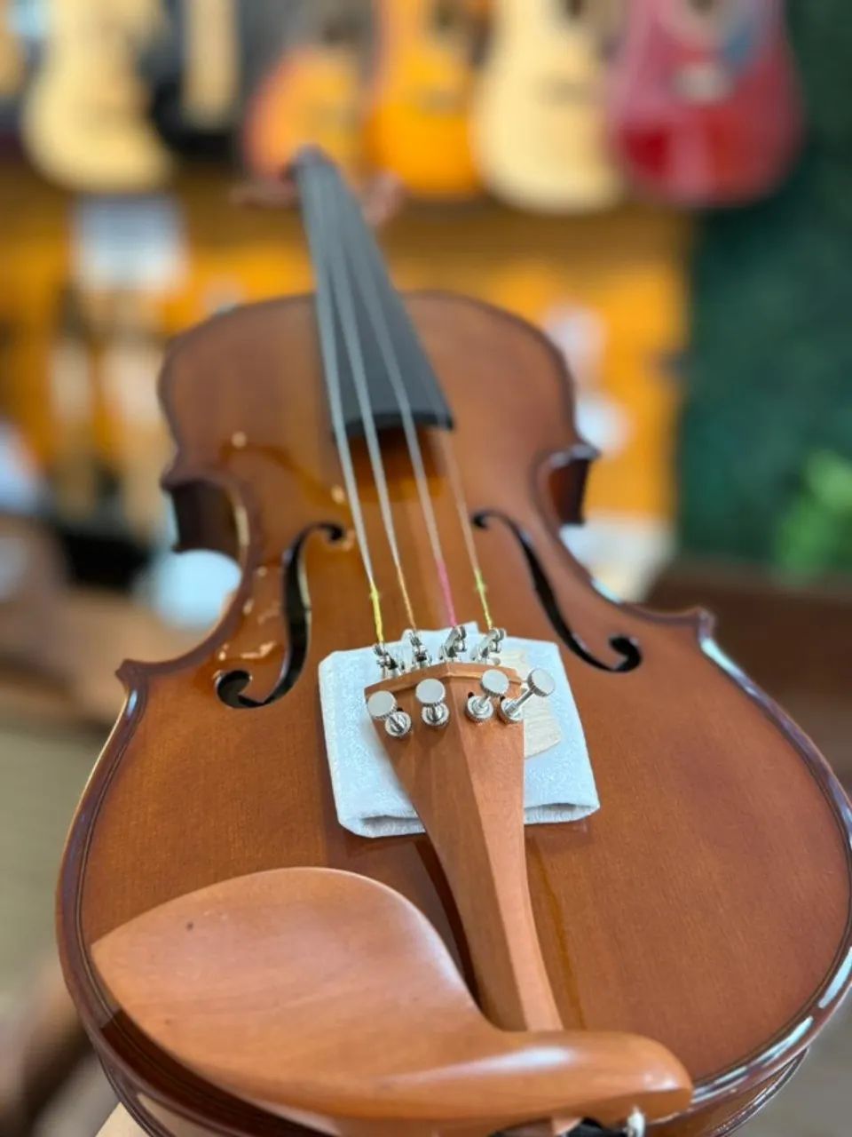 VIOLINO EAGLE 3/4 VE431 PRO SERIES