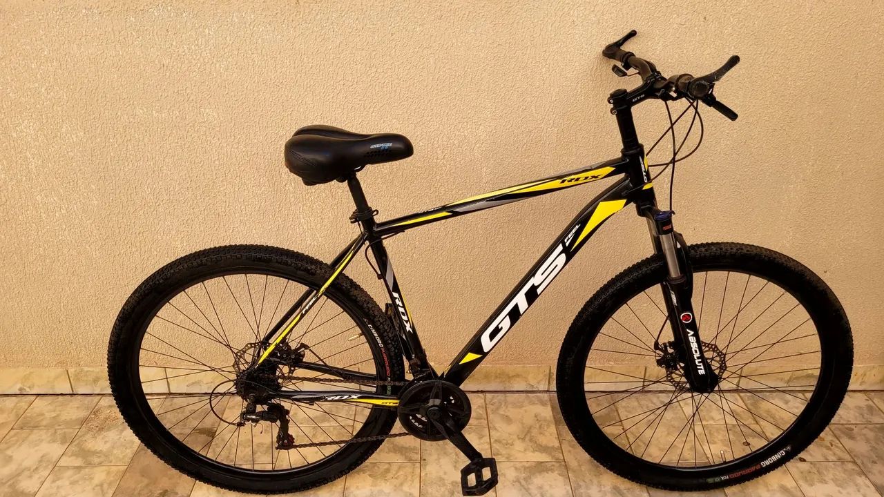 Bicicleta Aro 29