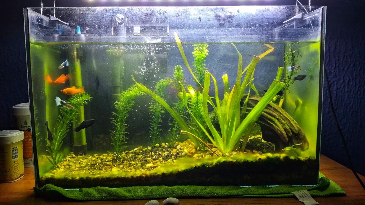 Aquario 25L completo