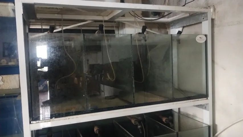 Bateria de aquários  - Foto 2