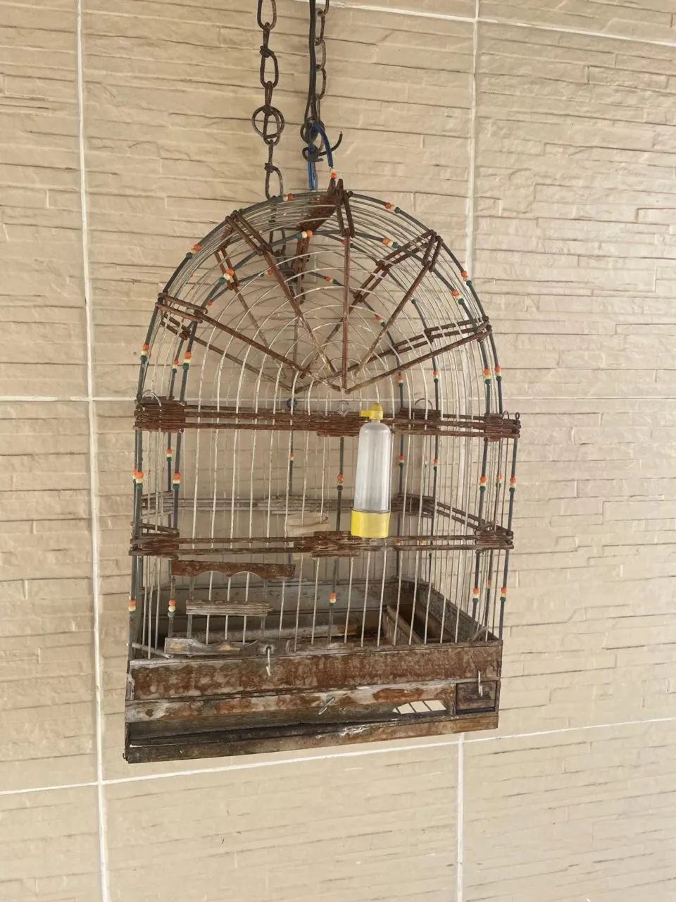 Gaiola de pássaro pequeno 