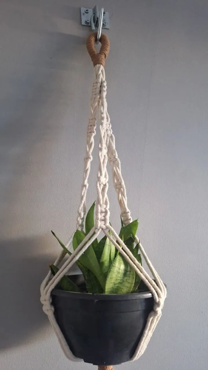Suporte de planta - Foto 3