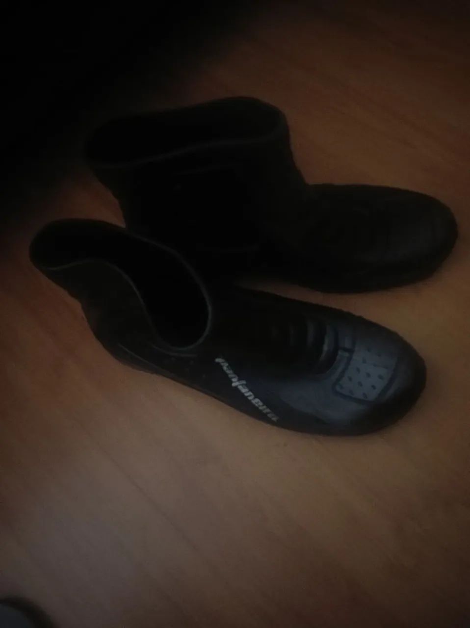 Bota 
