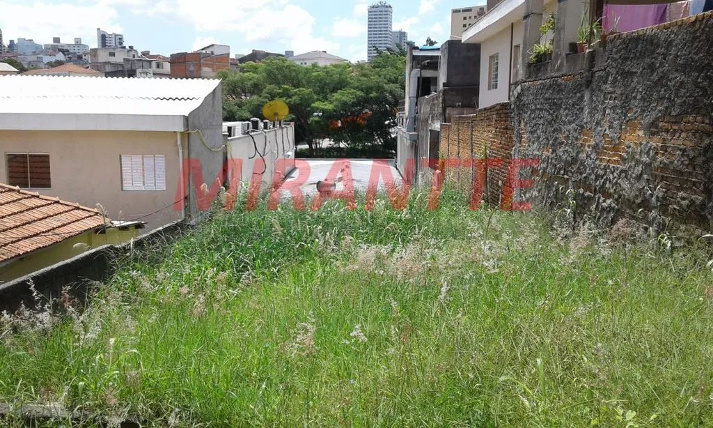 Terreno em Tucuruvi - Foto 4