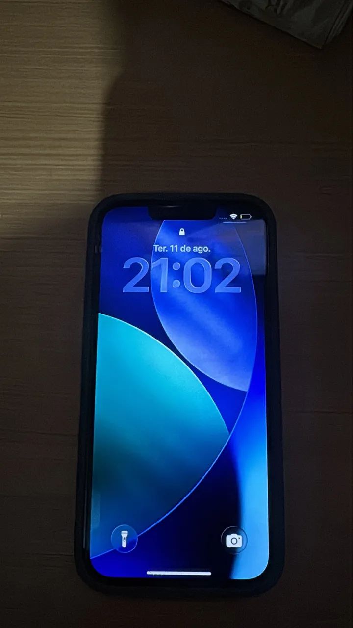 13 pro Max 