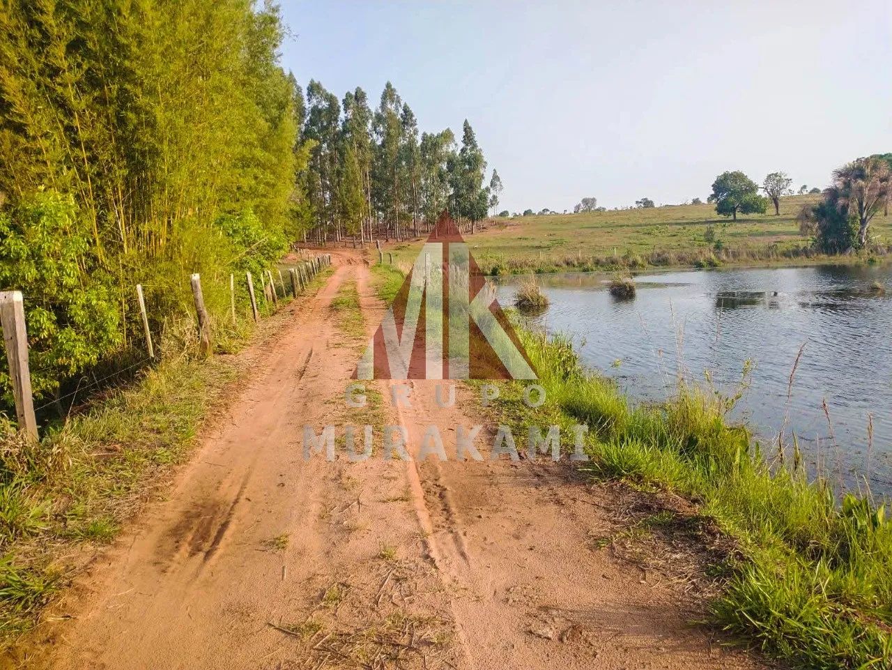 FAZENDA - CAMPO GRANDE - MS - Foto 4