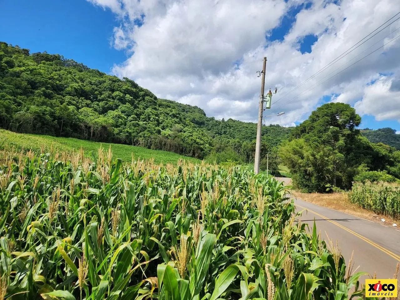 Sítio / Chácara para Venda em Nova Petrópolis, Nove Colonias - Foto 8