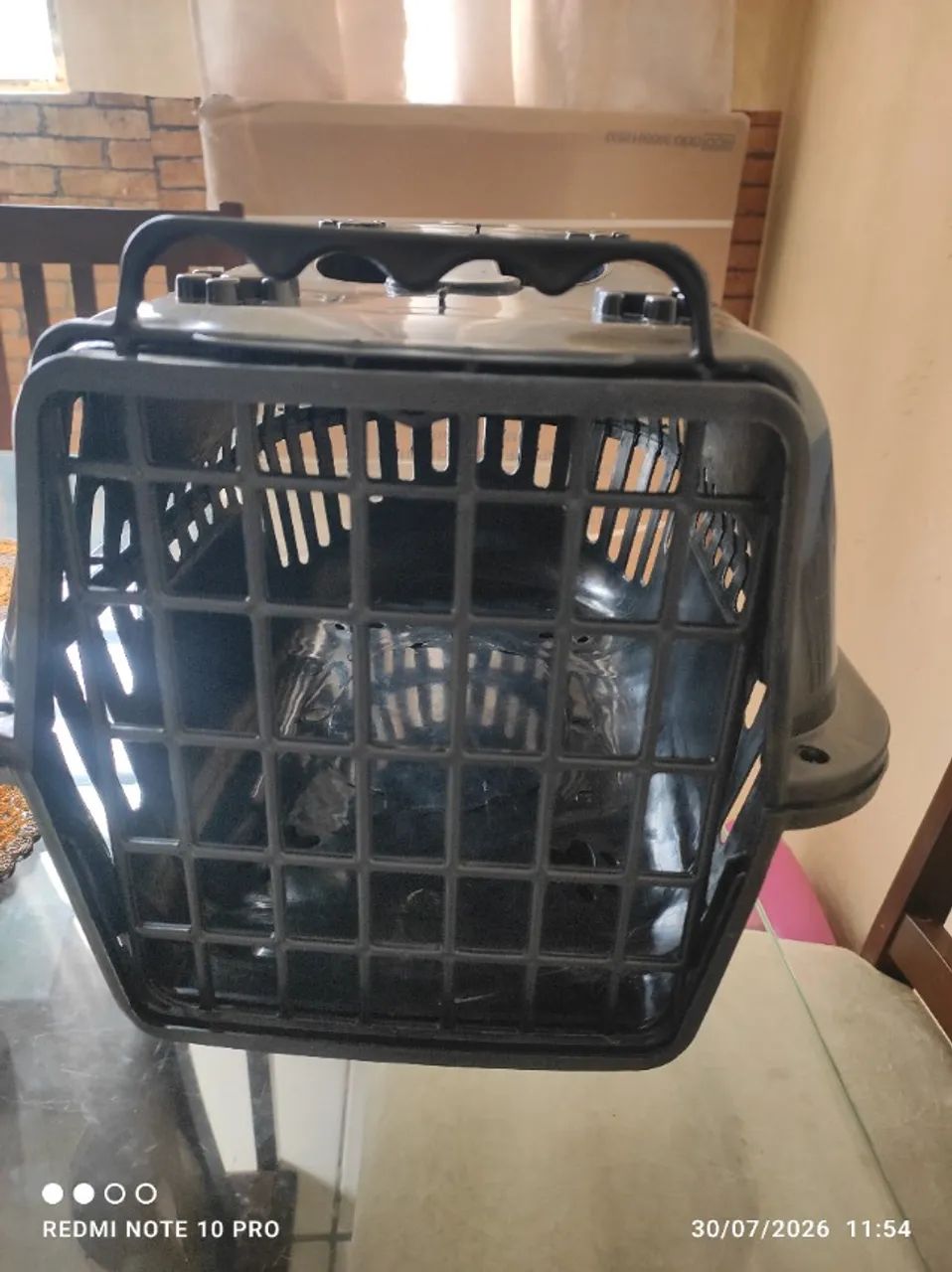 Transporte de gato