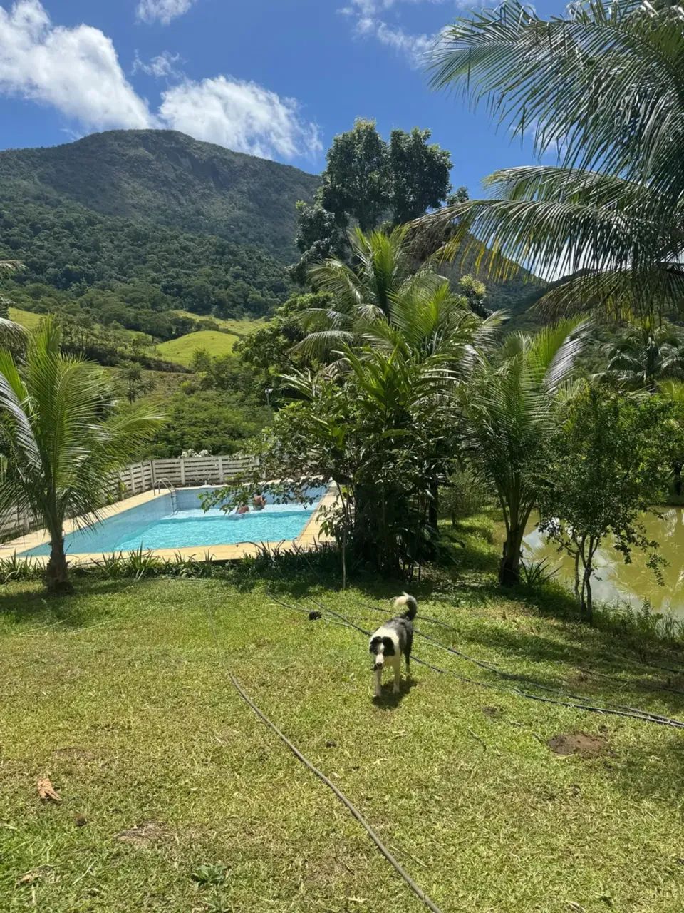 Oportunidade Unica em Conceição de Macabu - Foto 4