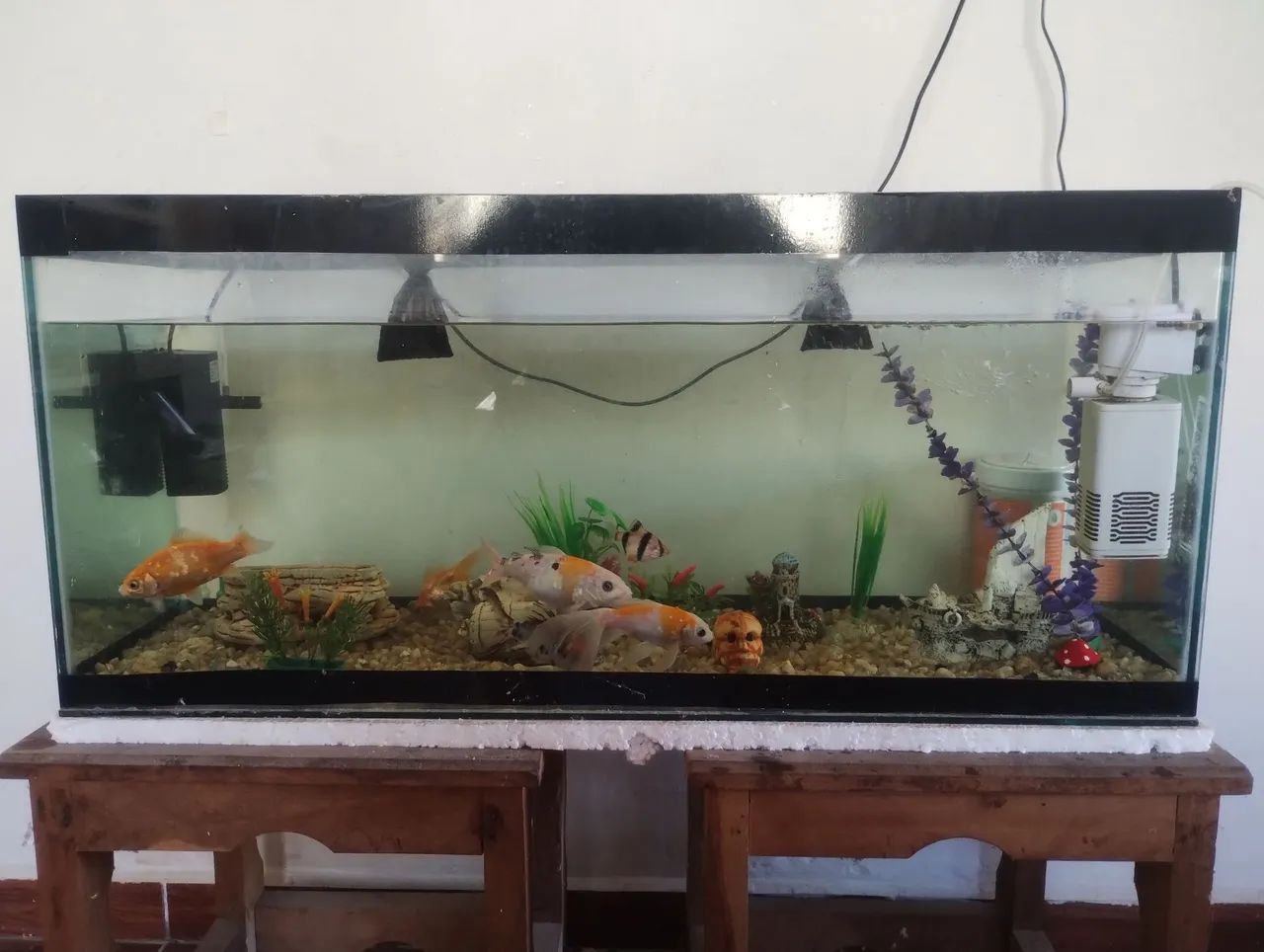 Aquário completo de 100 litros