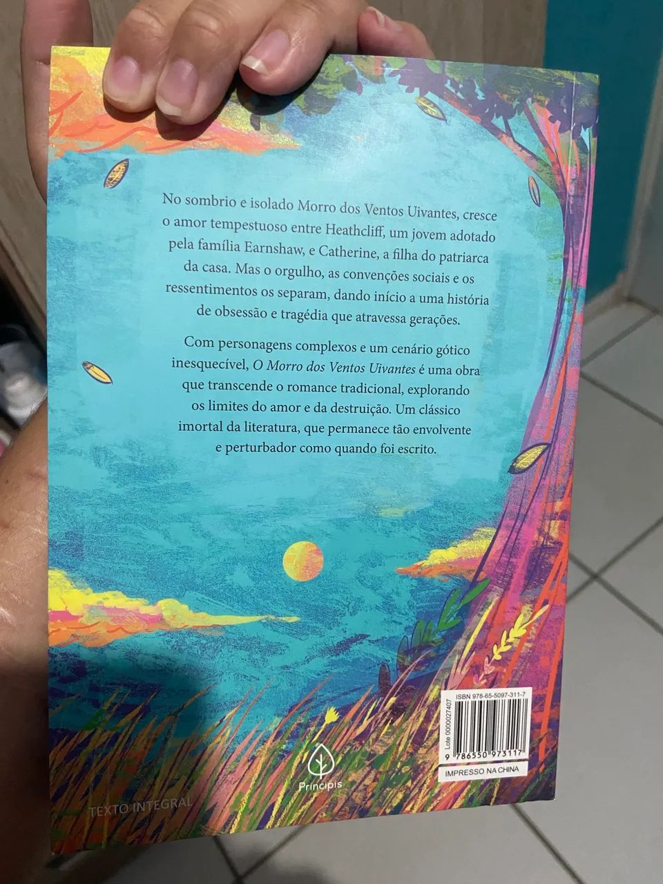 O Morro dos Ventos Uivantes (Emily Brontë)  - Foto 2