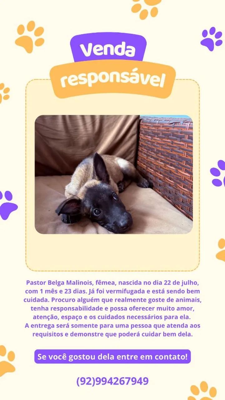 Venda Responsável 