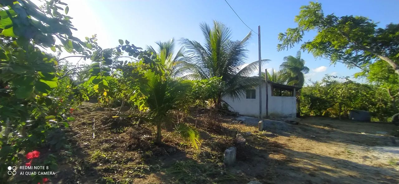 Vendo Sítio completo - Foto 3