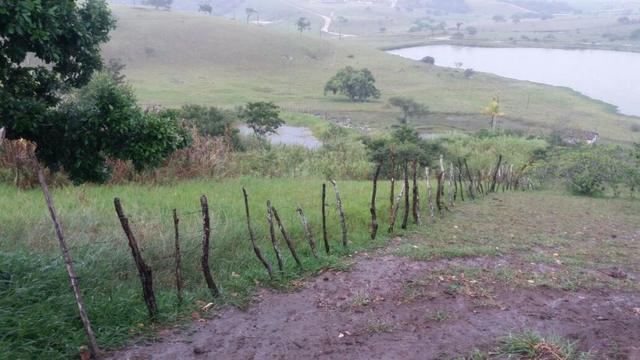 Propriedade com 2 casas de 13 hectares, em Sairé, 700 mil - Foto 15