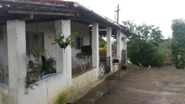 Propriedade com 2 casas de 13 hectares, em Sairé, 700 mil - Foto 10
