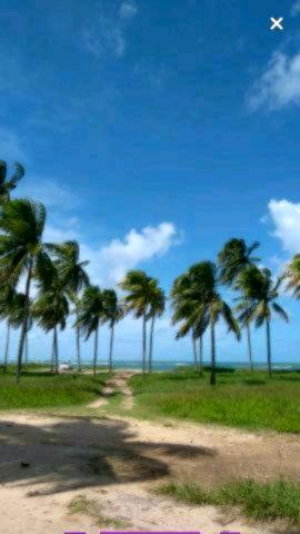 Grande Lote em Maracaipe- Oportunidade de investimento!! - Foto 4