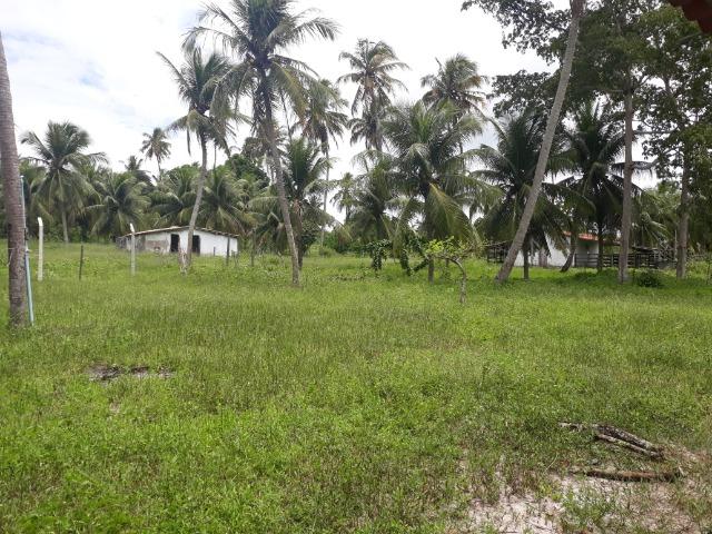 Oportunidade de Chácara, com 5,2 ha, há margem da RN 316, em Monte Alegre/RN - Foto 9