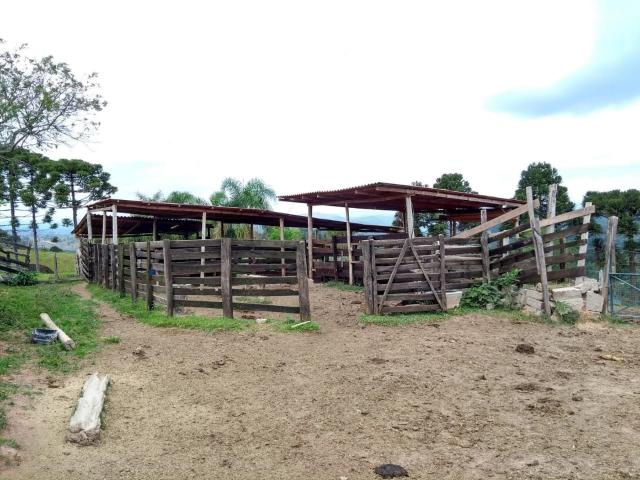 Chácara à venda em Sao silvestre, Campo largo cod:CH00001 - Foto 3