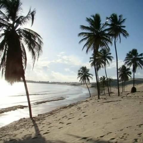 Lotes em Paracuru CE, Beira da pista de acesso ao centro e praias - Foto 8