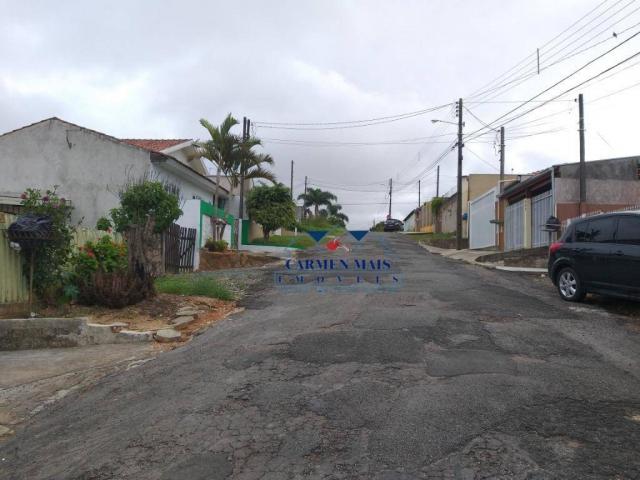Terreno à venda, 250 m² por r$ 265.000 - santo antônio - são josé dos pinhais/pr - Foto 6