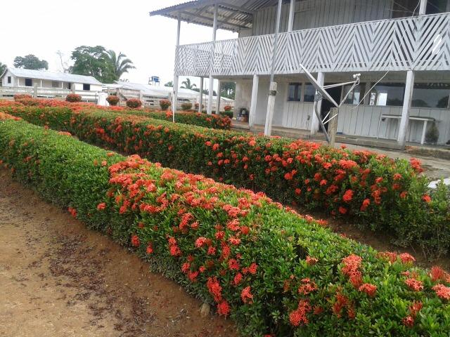 Fazenda em Autazes 750.000 - Foto 9