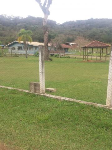Chácara à venda em Cerne, Campina grande do sul cod:CH00011 - Foto 6