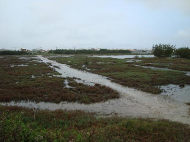 Área para venda em cabo frio, novo portinho - Foto 2