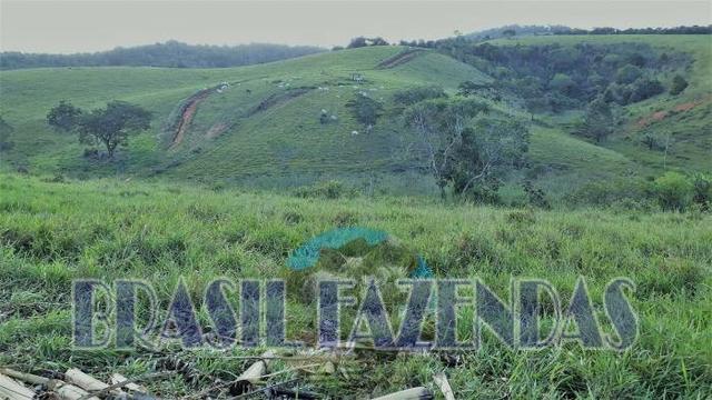 Fazenda em Itamaraju - Foto 11