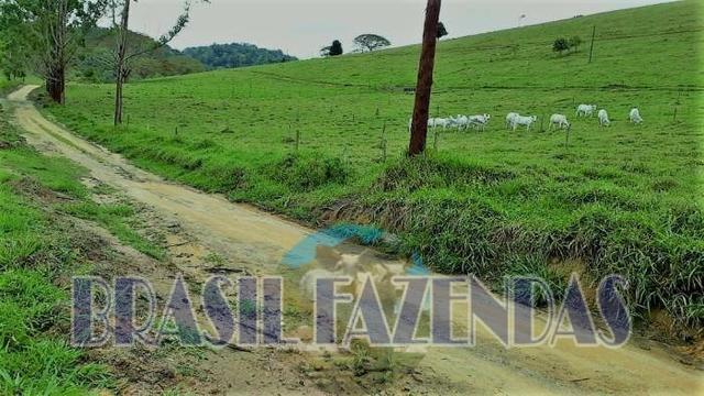 Fazenda em Itamaraju
