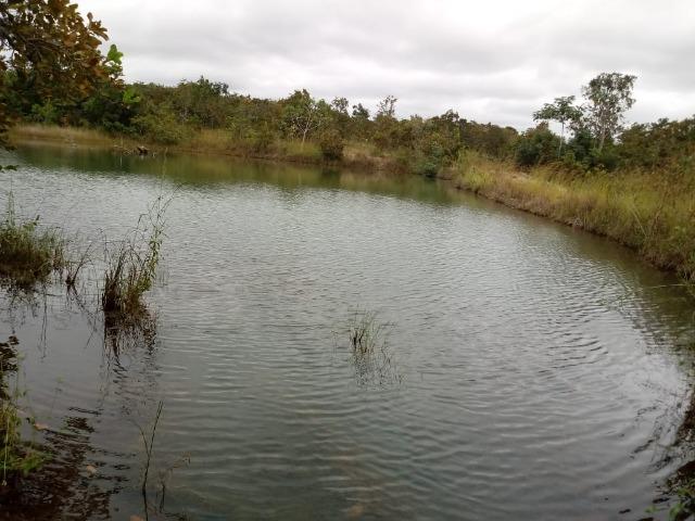 Fazenda para Pecuária em Livramento a 51 km de Cuiabá - Foto 5