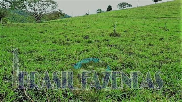 Fazenda em Itamaraju - Foto 14