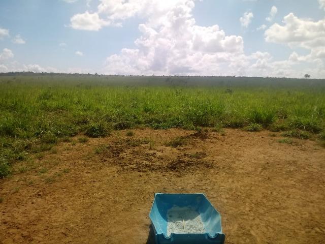 Fazenda com 784,77 hectares entre Jangada e Rosário Oeste - Foto 2